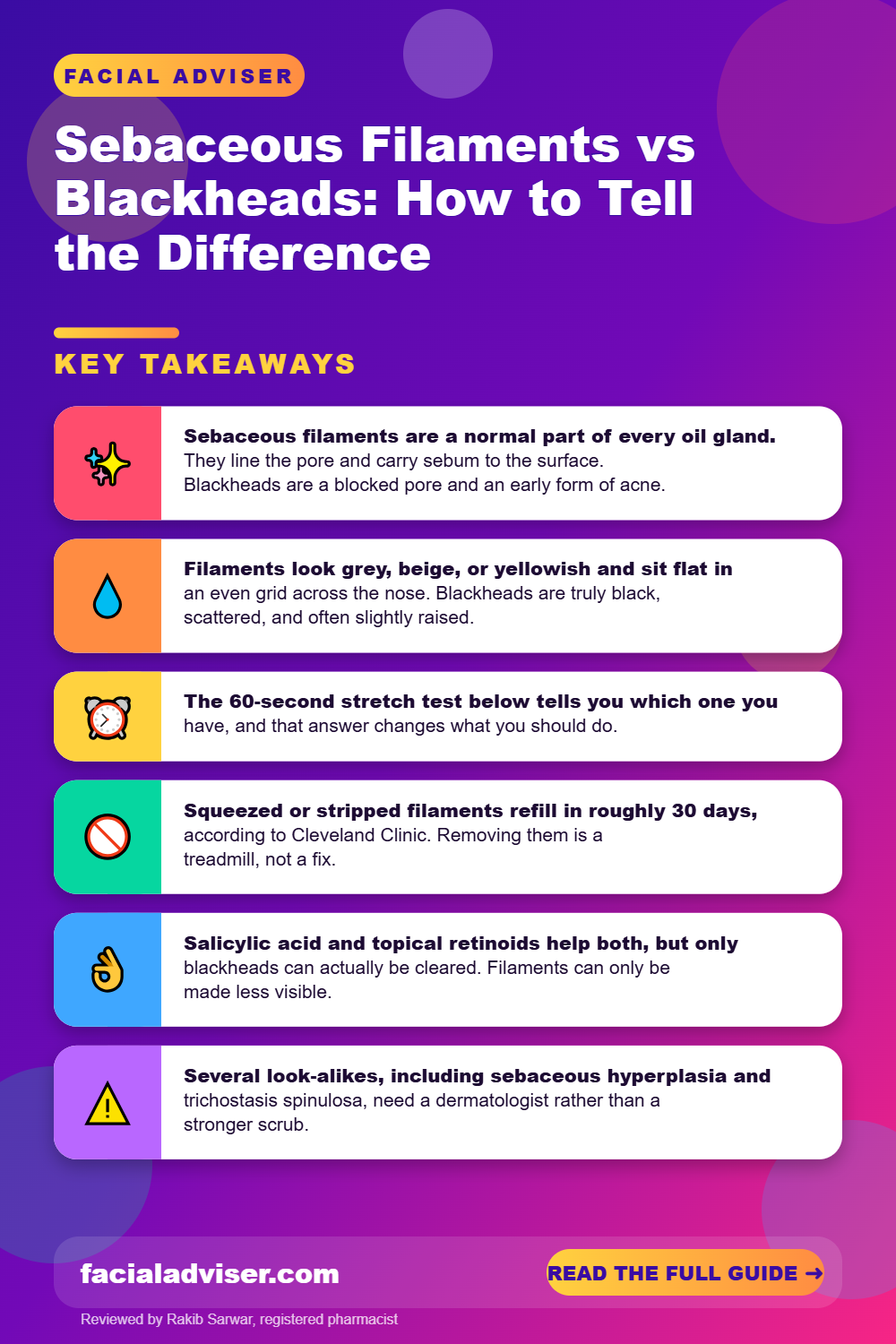 Sebaceous Filaments vs Blackheads: How to Tell the Difference: key takeaways infographic